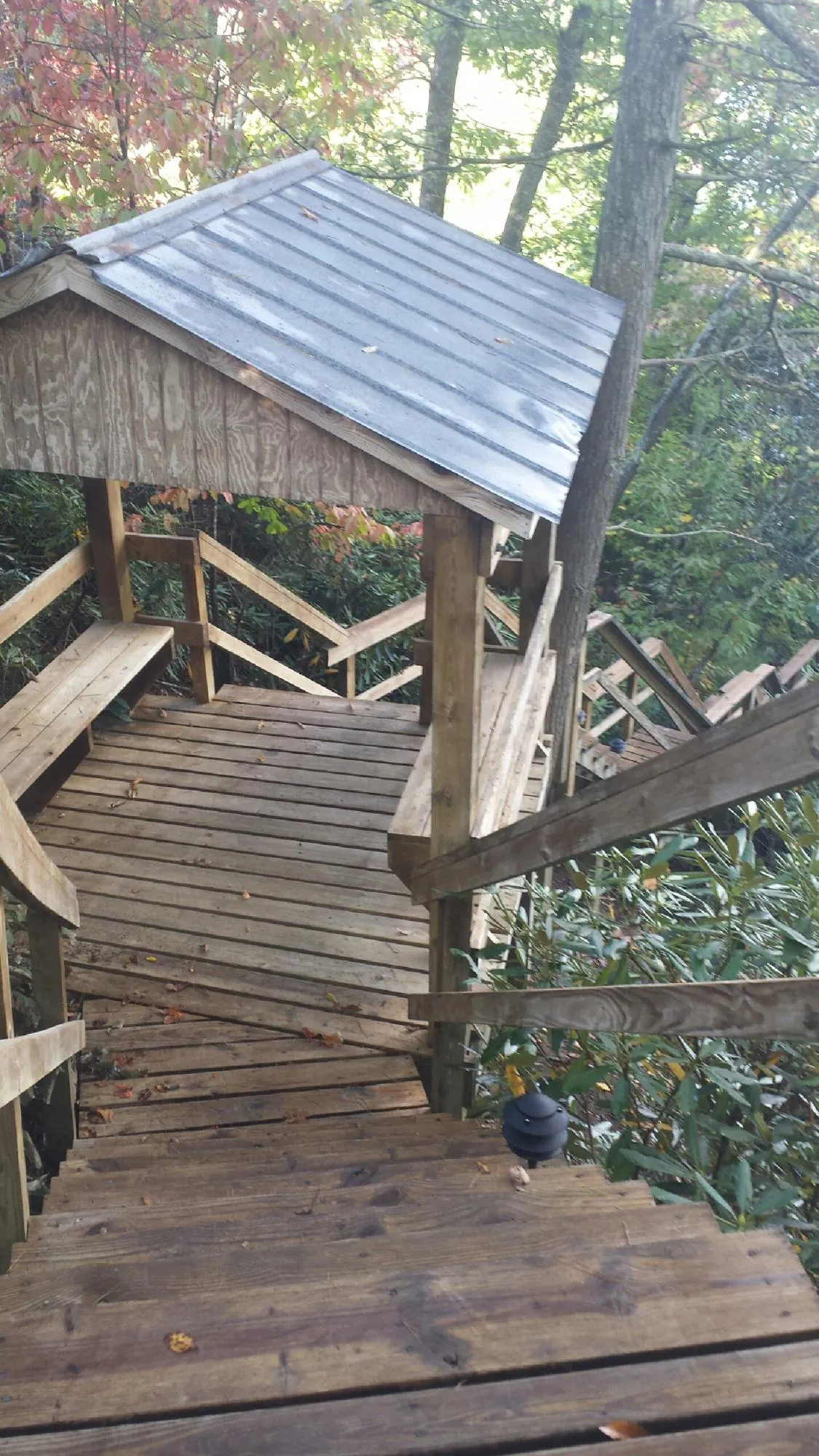 Metal roofed shelter over wooden steps on a wooded walkway — Skylight Repair & Installation work by our crew in Rogersville